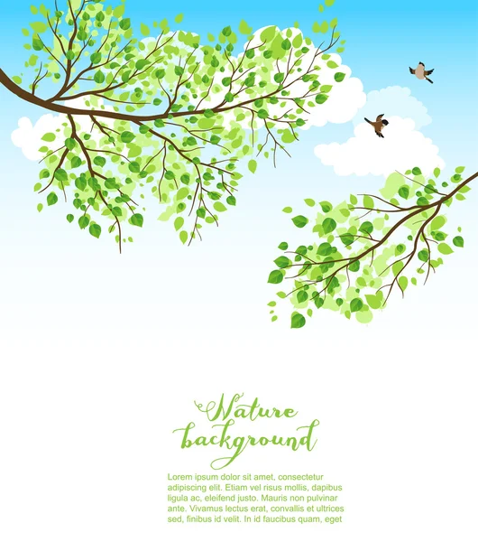 Branches avec ciel et oiseau — Image vectorielle