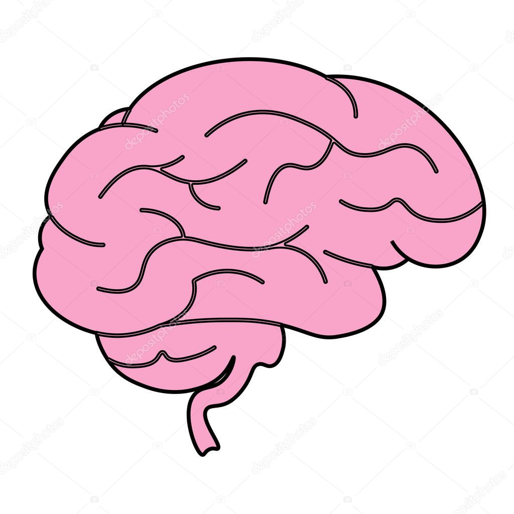 Brain illustration icon for web design isolated on white background