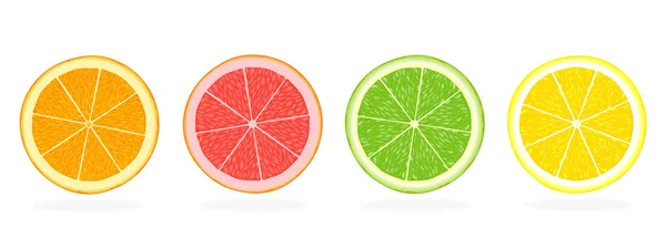 Tranches Agrumes Orange Pamplemousse Citron Vert Citron Isolé Sur Fond — Image vectorielle