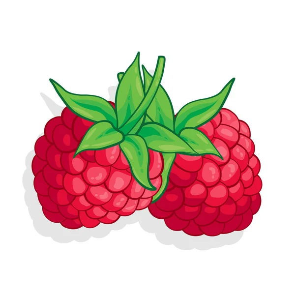 Frambozen Zoete Fruit Illustratie Voor Web Geïsoleerd Witte Achtergrond — Stockvector