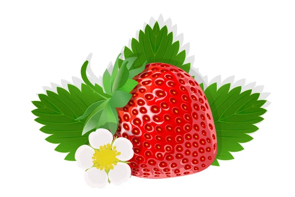 Λουλούδι Της Απεικόνισης Φράουλα Για Web Που Απομονώνονται Λευκό Φόντο — Διανυσματικό Αρχείο