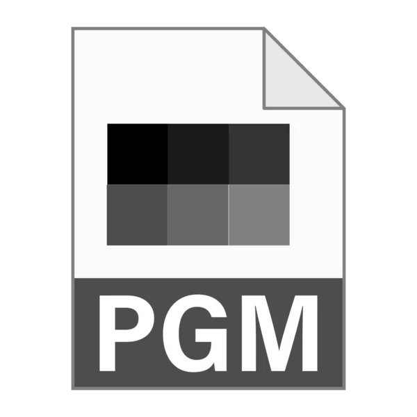 Pgm 아이콘의 디자인 — 스톡 벡터