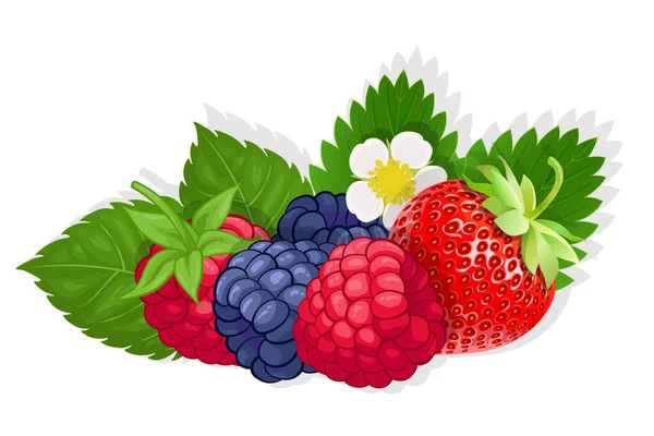 Beyaz Arkaplanda Izole Edilmiş Web Için Ahududu Çilekli Tatlı Meyve — Stok Vektör
