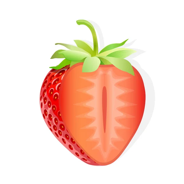 Tranche Fraise Sucrée Illustration Fruit Pour Toile Isolée Sur Fond — Image vectorielle