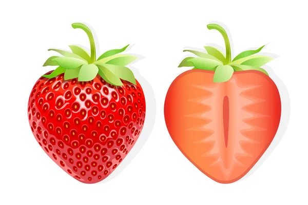 Snijd Van Aardbeien Zoete Fruit Illustratie Voor Web Geïsoleerd Witte — Stockvector