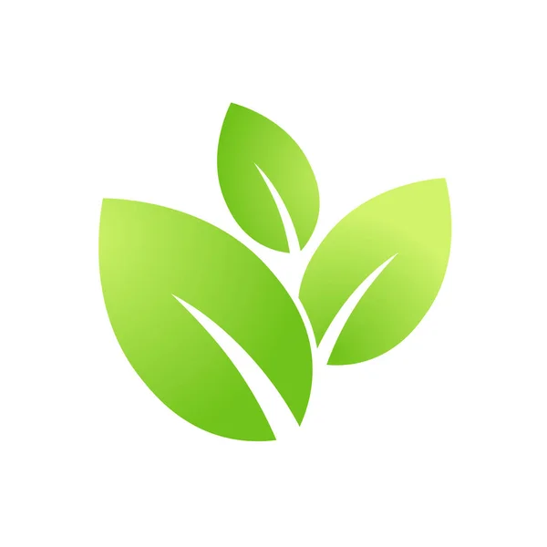 生态绿叶图标生物自然绿色生态符号用于网络和商业 — 图库矢量图片