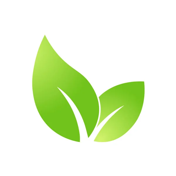 Ícone Folha Verde Eco Bio Natureza Verde Símbolo Eco Para —  Vetores de Stock
