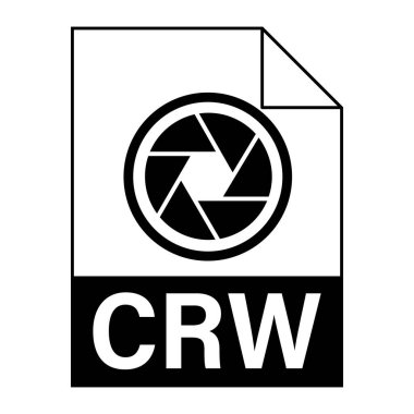 Web için CRW dosya simgesinin modern düz tasarımı
