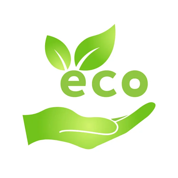 Mano Con Eco Icona Foglia Verde Bio Natura Verde Eco — Vettoriale Stock