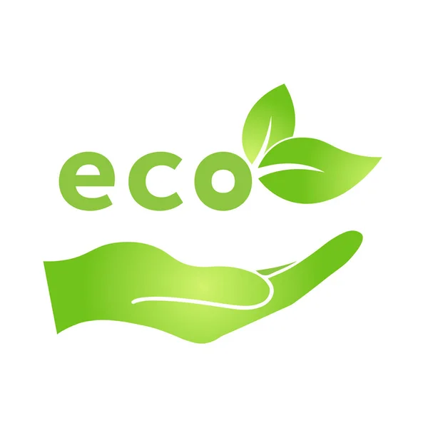 Hand Met Eco Groen Blad Icoon Bio Natuur Groen Eco — Stockvector