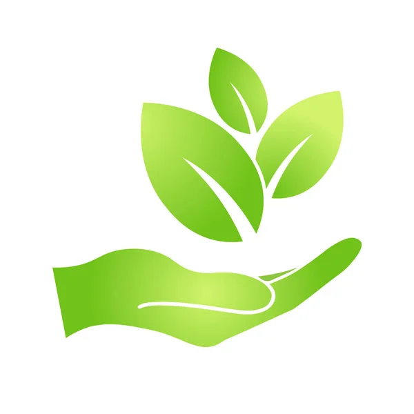 Hand Eco Green Leaf Icon Bio Nature Green Eco Symbol — 图库矢量图片