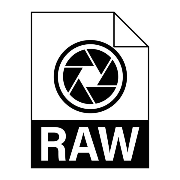 Modern Plat Ontwerp Van Raw Bestand Pictogram Voor Web — Stockvector