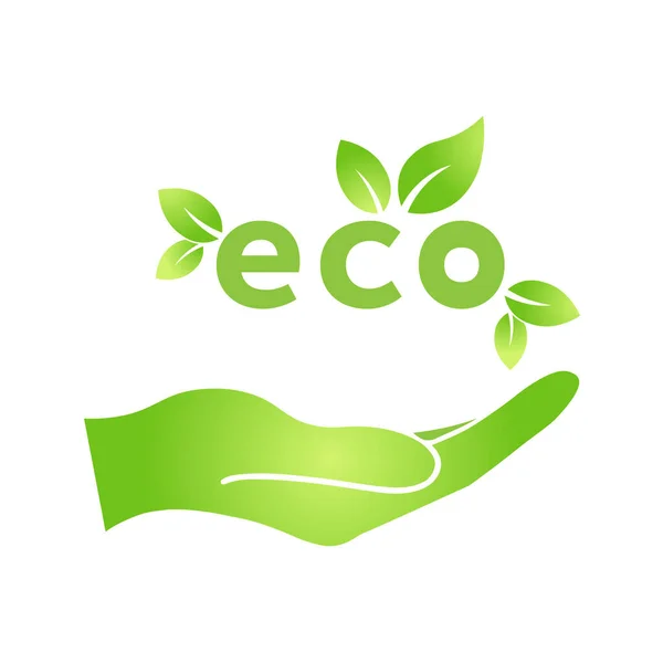 Main Avec Éco Icône Feuille Verte Bio Nature Vert Éco — Image vectorielle