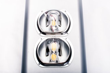 beyaz arkaplanda lamba