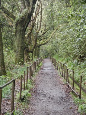 Pargue Das Queimadas