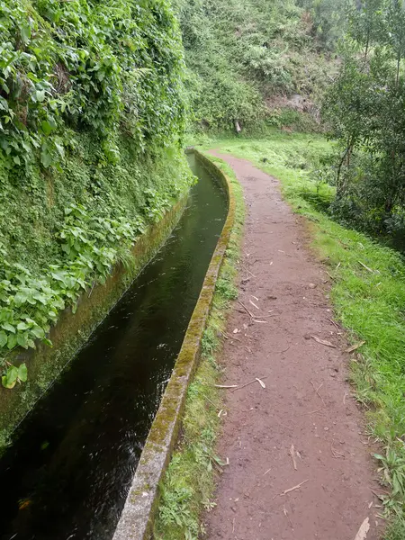 Ribeiro Frio, Maderia, — 图库照片