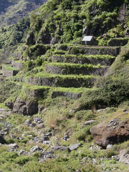 Zuid Madeira landschap — Stockfoto