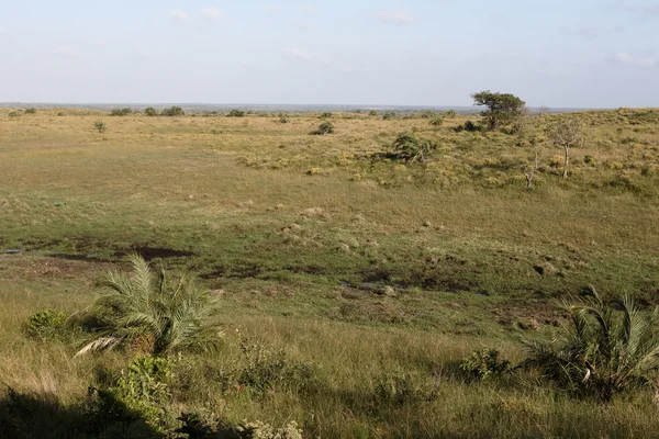 Amazibu skrýt, Isimangalsio Wetland Park — Stock fotografie