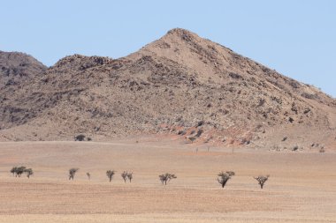 Sossusvlei Namib-Naukluft