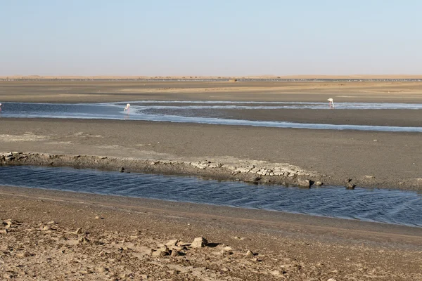 Saltpans, Walvis Bay, Namibia — Stock Photo, Image