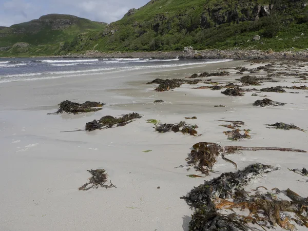 Calgary bay, isle mull — Stockfoto