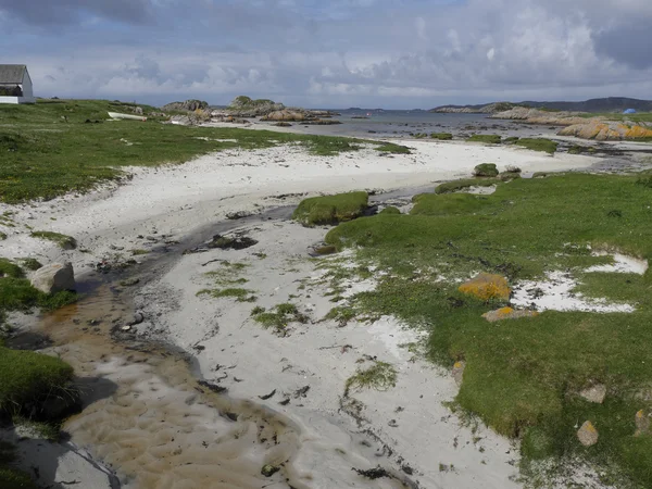 Fidden, Mull Ros — Stok fotoğraf