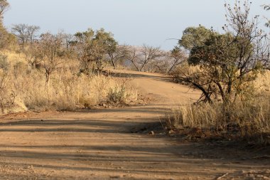 Pilanesburg Milli Parkı
