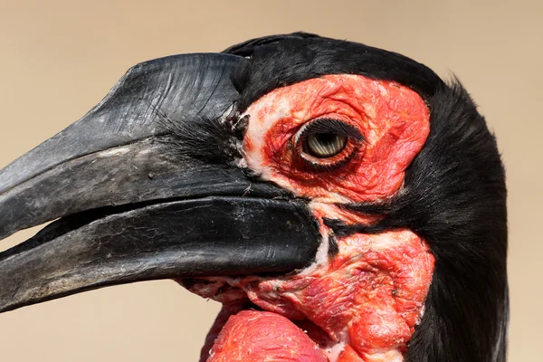 Sculpture of two hands touching — Stock Photo © gobliins #5259993