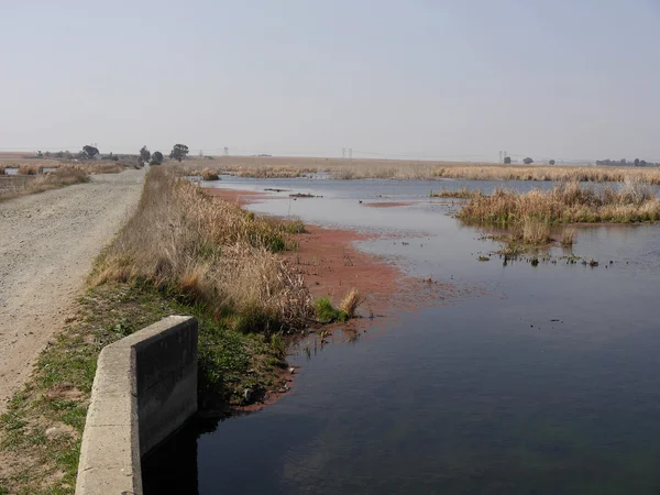 Marievale Nature Reserve — Stock Photo, Image