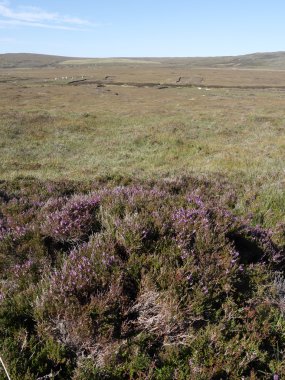 Moorland, Kuzey Uist