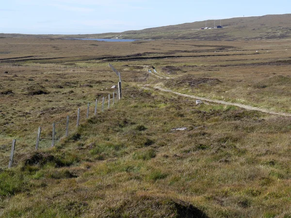 Moorland, Kuzey Uist — Stok fotoğraf