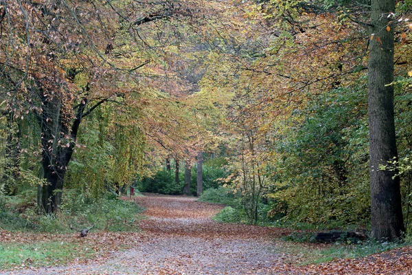Загородный парк Лидхиллс — стоковое фото