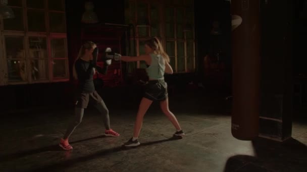 Boxers meninas realizar sparring no ginásio. Artes marciais modernas — Vídeo de Stock