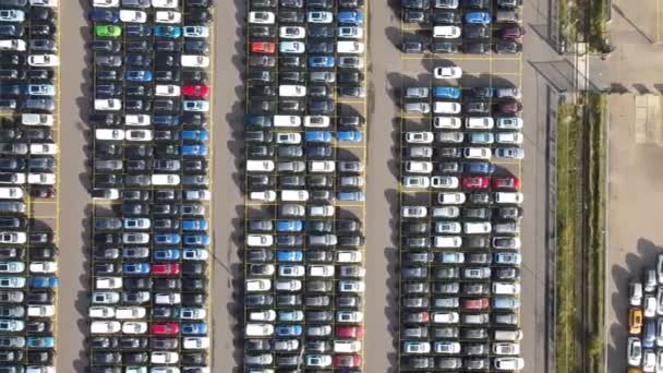 Luchtfoto van geparkeerde auto 's in een gestructureerde rij parkeren lease auto' s nieuwe productie-industrie — Stockvideo