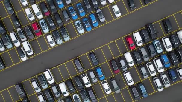 Flyover drönare visa uppifrån ner på parkerade bilar redo för frakt distribution vänder i en cirkel — Stockvideo