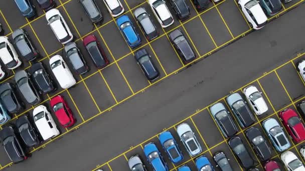 Drone vista, de arriba hacia abajo en los coches nuevos estacionados automóviles listos para su envío y distribución. Transporte de exportación de importación — Vídeo de stock