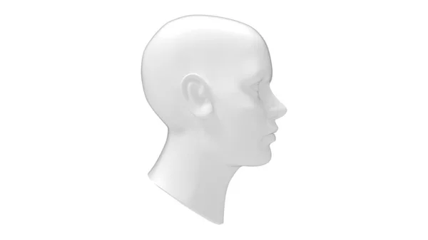 Female head mannequin 3D rendering isolated on a white background. — Stock Photo, Image