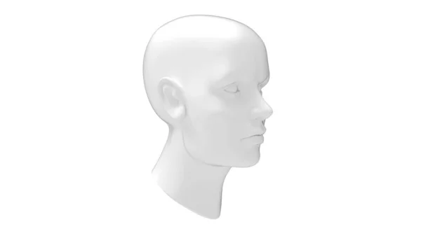Kepala manekin wanita 3D rendering terisolasi pada latar belakang putih. — Stok Foto