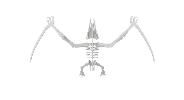 Uçan dinozorun 3 boyutlu canlandırması ikonik şekilli lazer kesimi