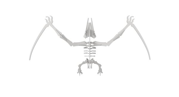 3D rendering of a flying dinosaur iconic abstract shape laser cut