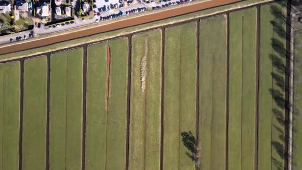 Aerial do porto de Scheendijk Loosdrechtse Plassen perto de Breukelen, na Holanda. Paisagem hidroviária. — Vídeo de Stock