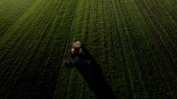 Tractor op een boerderij op een grasland bij zonsondergang filmische beelden van drone vanuit de lucht. — Stockvideo