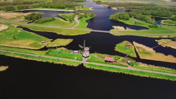 Parque natural Het Twiske típico holandés escena de la naturaleza con molino de viento histórico en los Países Bajos — Vídeos de Stock