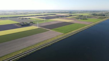 Zeewolde, Hollanda Avrupa yakınlarındaki bir yol çiftliklerinin ve rüzgar türbinlerinin insansız hava aracı görüntüsü