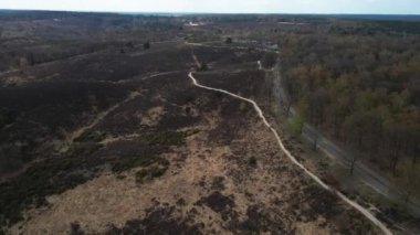 Hollanda 'daki Rheden yakınlarındaki Veluwe Ulusal Parkı' nda Posbank hava görüntüsü.