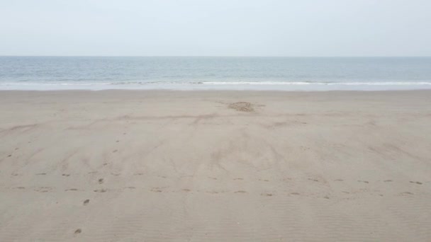 Vista aérea da praia e mar do norte perto de Oostkapelle, na Zelândia, Países Baixos, Europa. — Vídeo de Stock