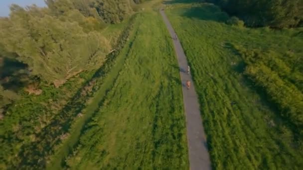 Vliegen over een voetpad en fietspad door een natuurgrasland. Infrastructuur rond Amsterdam, Nederland. — Stockvideo