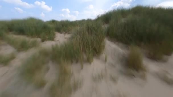 FPV aerial drone veiw of the beach in Zeeland The Netherlands, Holland, summer dunes sand seaside — Stock Video