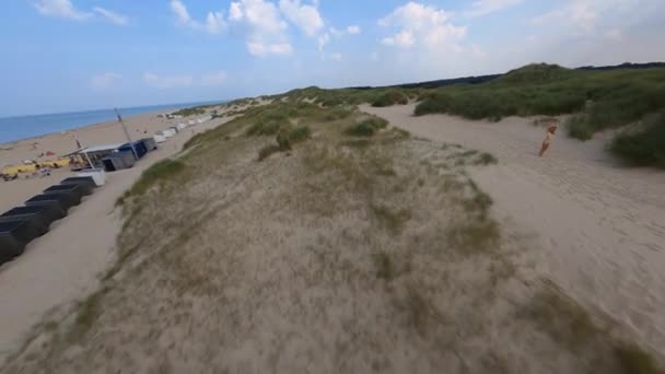 Lotnicze drony FPV veiw plaży w Zeeland Holandia, Holandia, wydmy letnie — Wideo stockowe
