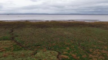 Bataklık, Portbury Wharf Doğa Koruma Alanı, Portbury Bataklıkları, sahil şeridi. Gündüz insansız hava aracı videosu.